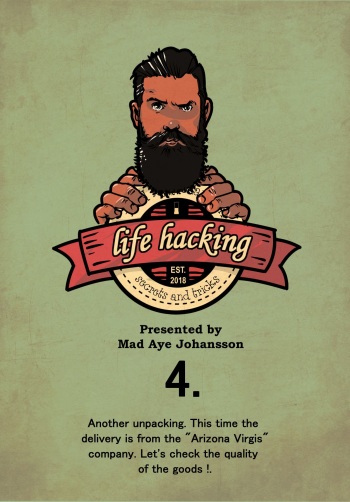 Life Hacking 4 cover
