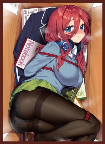 Sakura Yuki cover