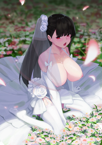 Komi cover