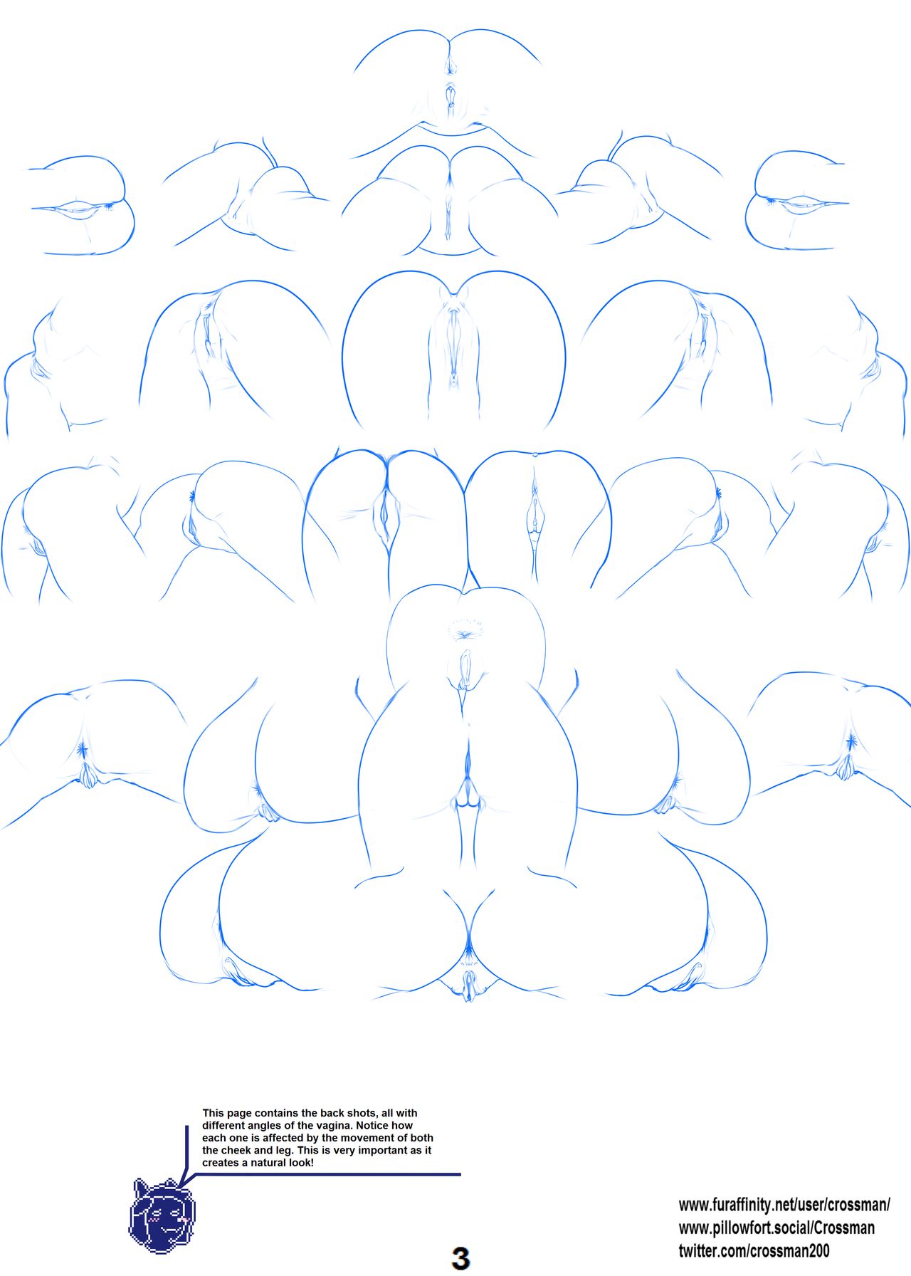 Vagina Drawing Tutorial Chapter 1 page 3 full