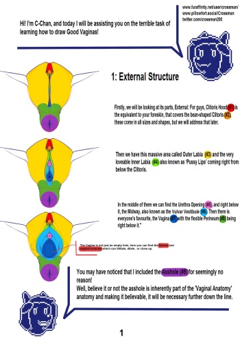 Vagina Drawing Tutorial Chapter 1 cover