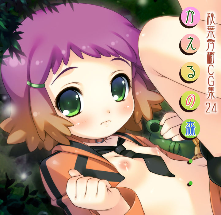 Kaeru no Mori Akiba Hideki CG-Shuu 24 page 2 full