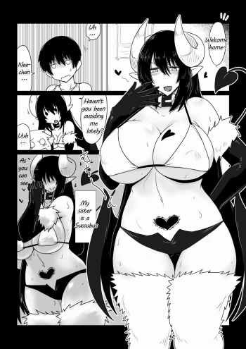 Ane ga Succubus de Shite. | My Sister is a Succubus. cover