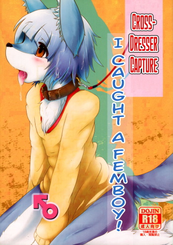 Josou Hobaku | Crossdresser Capture cover