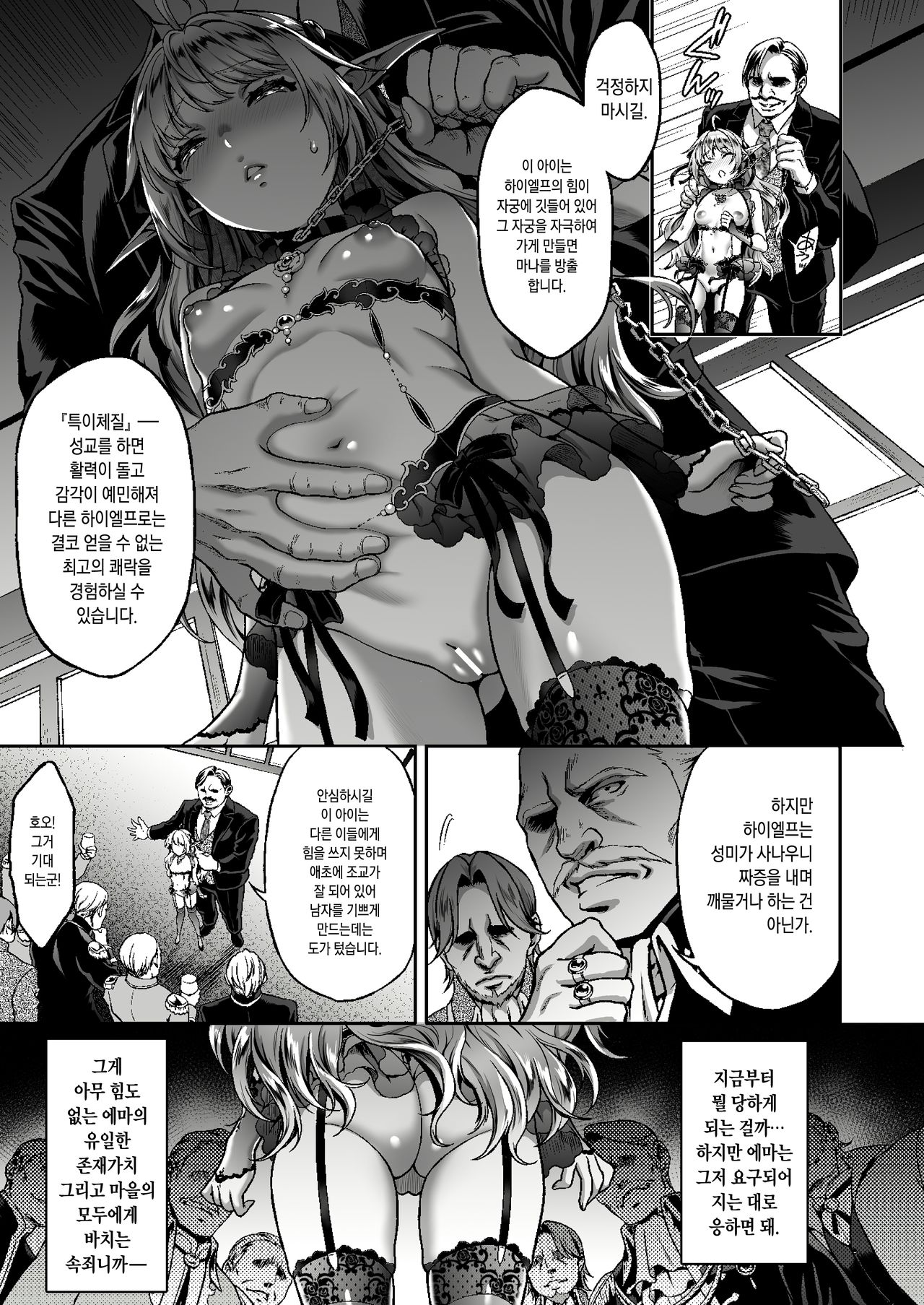 Tasogare no Shou Elf 6 - The story of Emma's side | 황혼의 창엘프 6 page 5 full