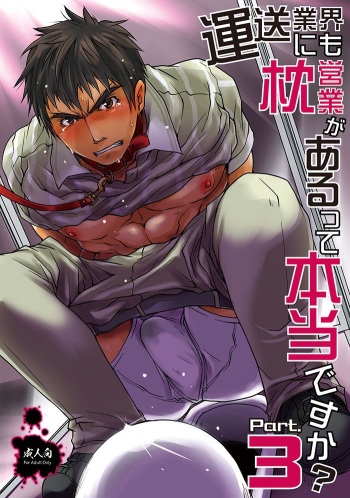 Unsou Gyoukai ni mo Makura Eigyou ga Arutte Hontou desu ka? Part 3 cover