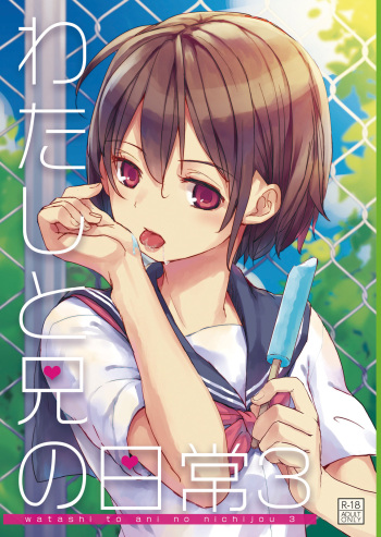 Watashi to Ani no Nichijou 3 cover