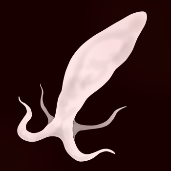 Sperm Creature on Male cover