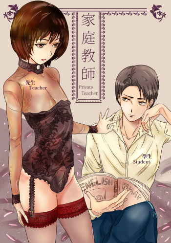 Private Teacher cover