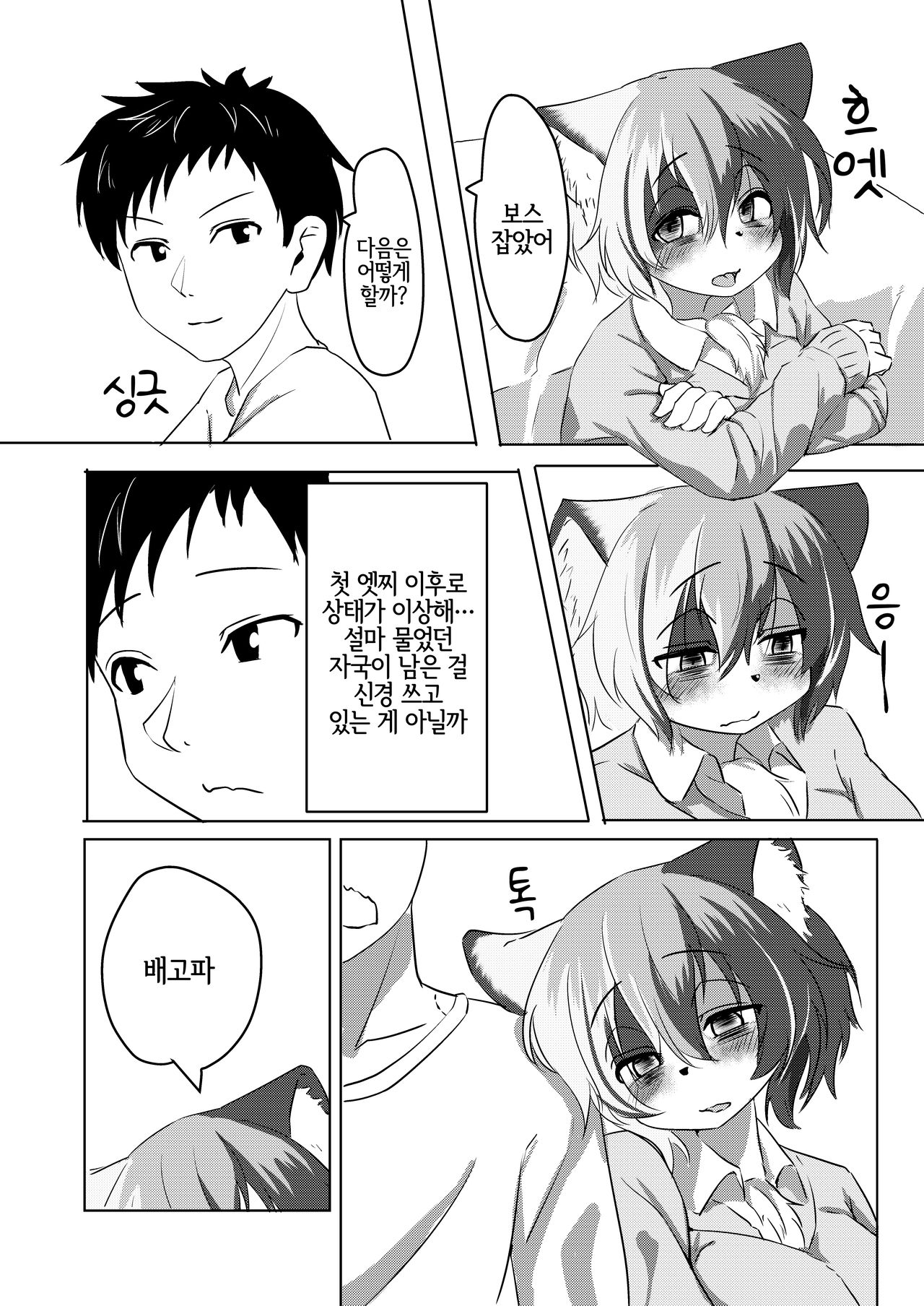 Mikeneko-chan wa Amaetai | 삼색묘 쨩은 응석 부리고 싶어 page 3 full