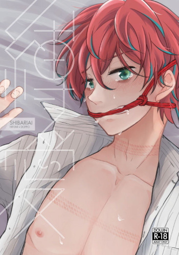 Shibari Ai cover
