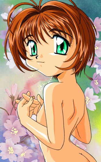 IMA CG Collection 2 cover
