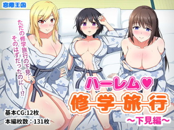 Harem Shuugaku Ryokou ~Shitami Hen~ cover
