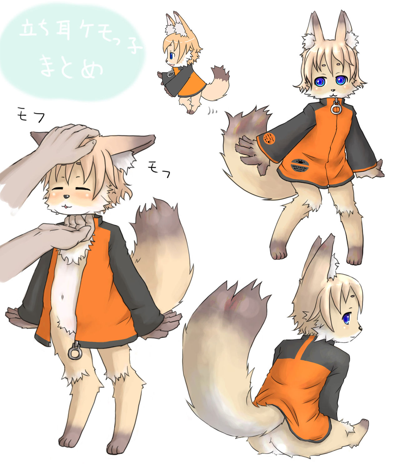 wildcritters.ws pre-wipe siterip 28000~29999 page 3 full