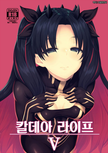 Chaldea Life V  | 칼데아 라이프 V cover