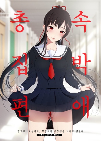 Sokubakuai 1~4 Soushuuhen cover