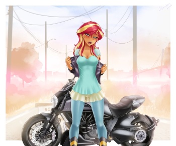 Sunset Flasher cover