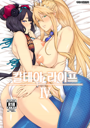 Chaldea Life IV | 칼데아 라이프 IV cover