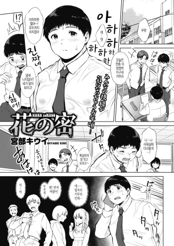 HANA no MITSU cover