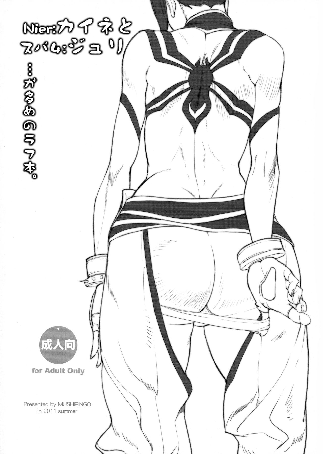 Nier: Kaine to Super 4: Juri ga Oume no Rough Hon page 2 full