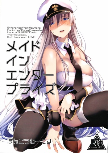 Maid in Enterprise cover