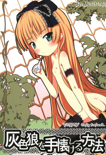 Haiiroookami o Tenazukeru Houhou cover