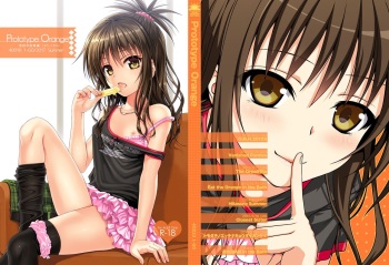 Prototype Orange cover