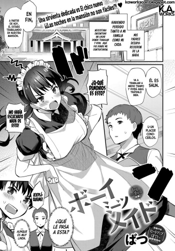 Boy Meets Maid cover