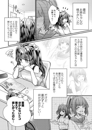 Tsundere Imouto Inbou Kaizou Keikaku cover