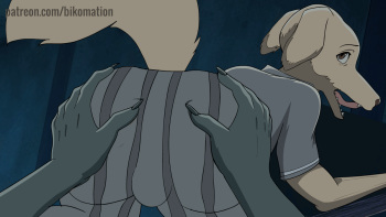 Bikomation cover