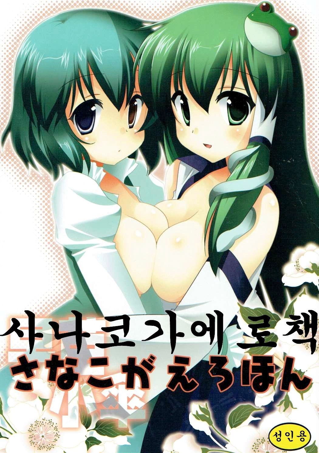 SanaKoga Erohon | 사나코가 에로책 page 1 full