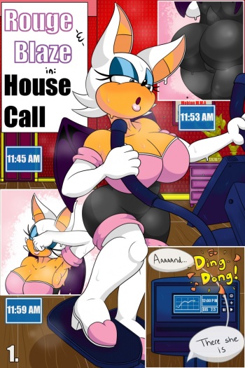 Rouge and Blaze in: House Call cover