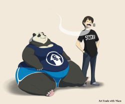 Fox TF TG