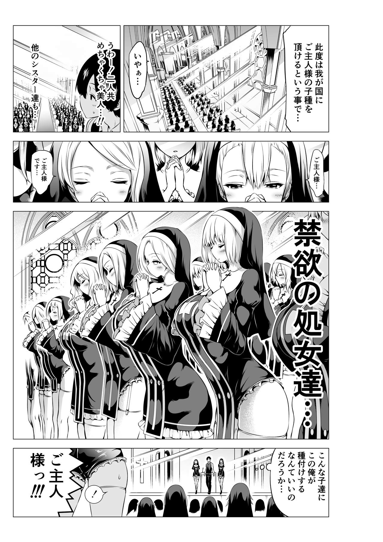 Isekai Harem Paradise Bangai Hen ~Kinyoku no Sister no Kuni~ page 5 full