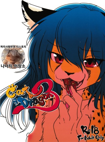 Cat &amp; Dragon 3 cover