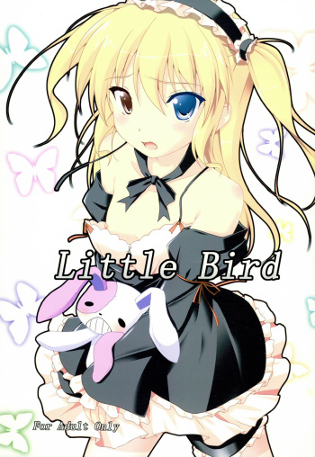 Little Bird cover