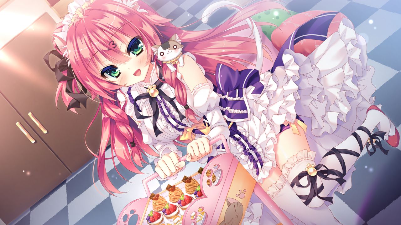 Wan Nyan ☆ A La Mode! ~Docchi ni Suru no? Wan Nyan H na Café Jijou!~ page 9 full