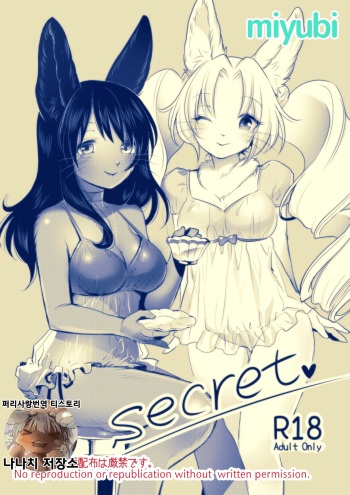 Secret cover