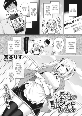 Gohoushi Da Maid Revenge! cover