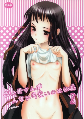 Boku no Kaasan ga Konna ni Kawaii no wa Shiyou 2 cover