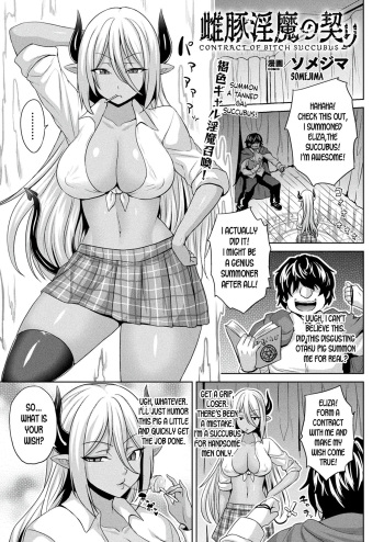 Mesubuta Inma no Chigiri - Contract of Bitch Succubus cover