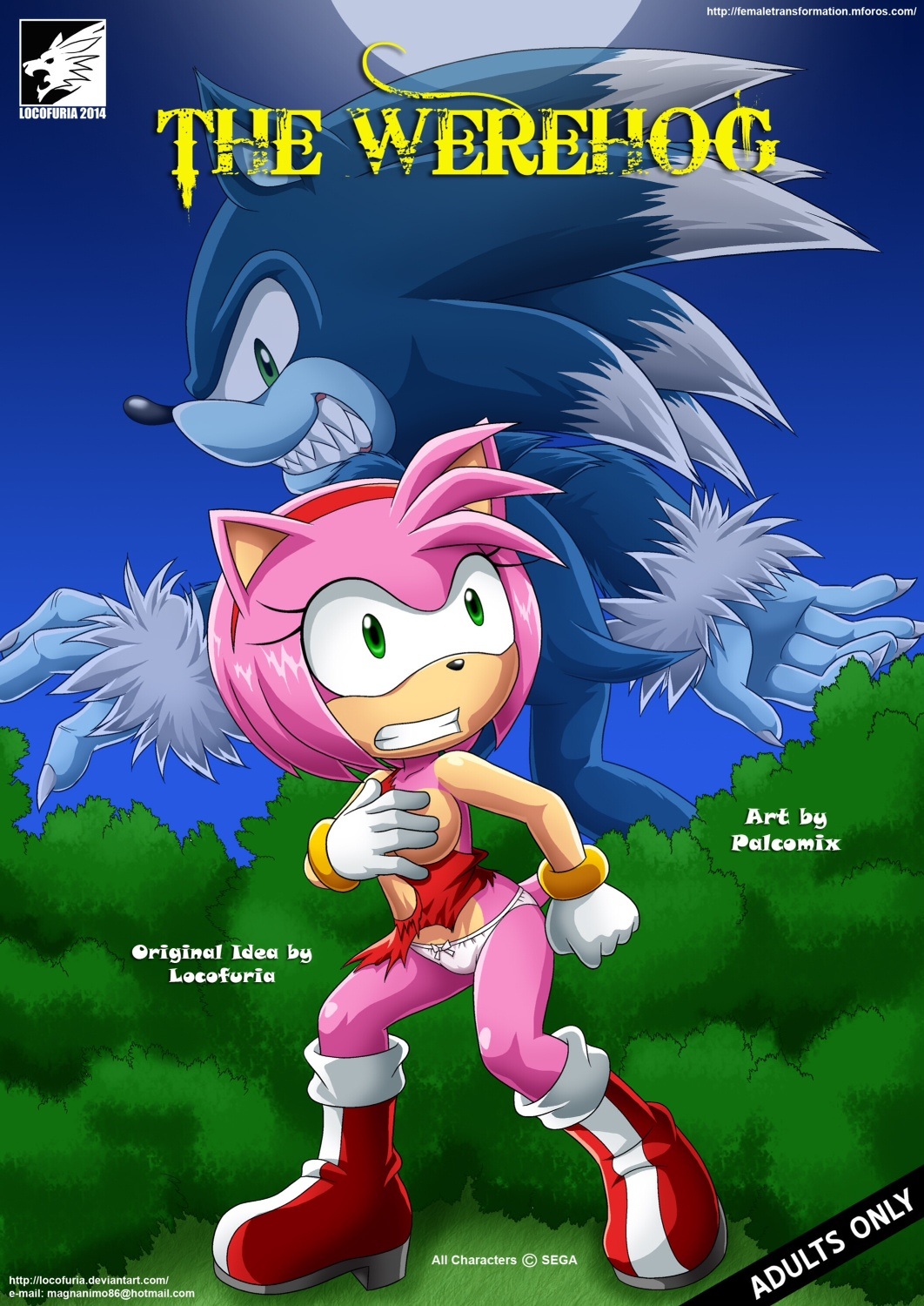 Mobius Unleashed: The Werehog page 1 full