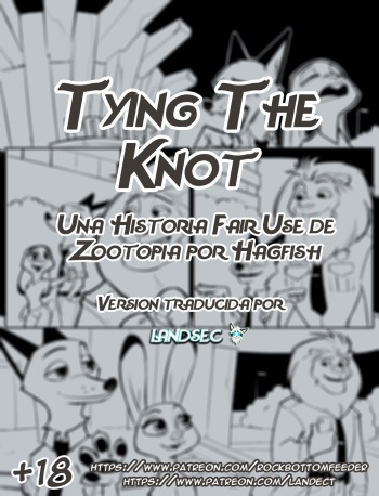 Tying The Knot cover