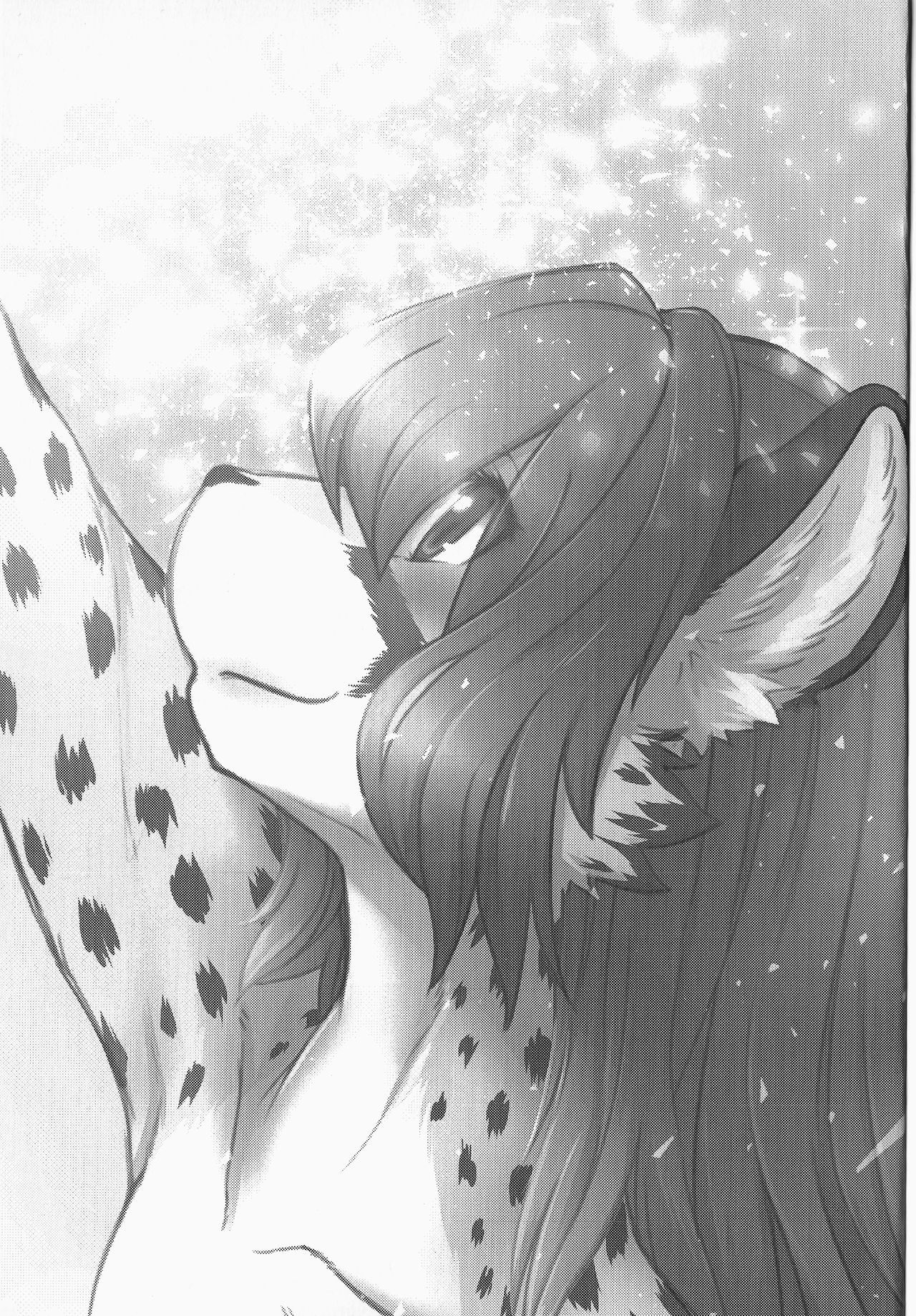 Cat &amp; Dragon 4 page 2 full