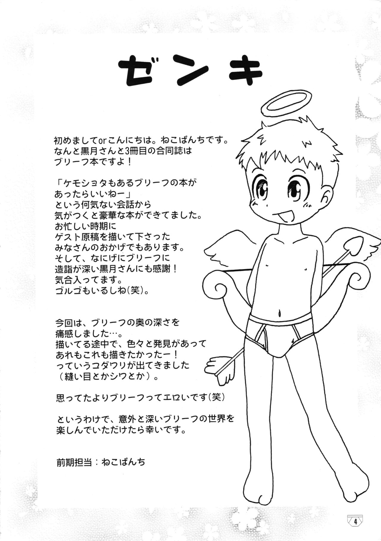 Brief! page 3 full