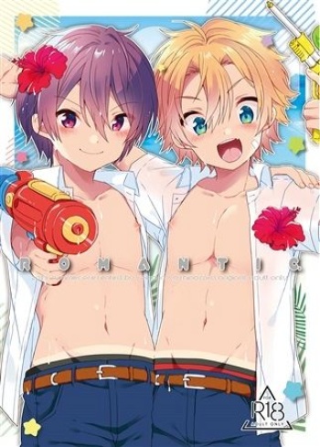 Romantic cover