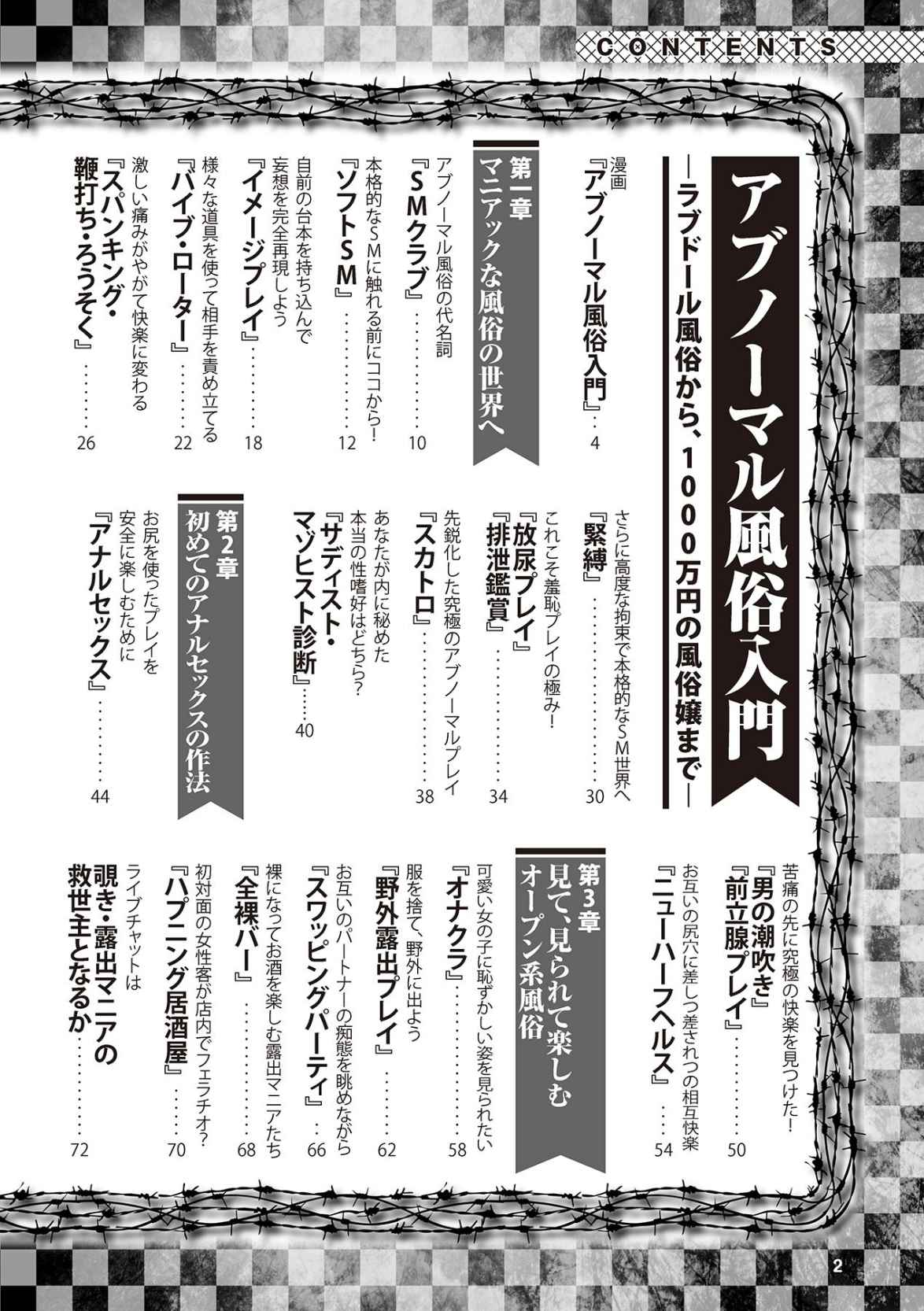 アブノーマル風俗入門 ラブドール風俗から、1000万円の風俗嬢まで page 4 full