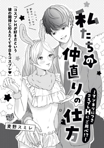 私たちの仲直りの仕方 ～マンネリにつきコスプレHにご用心!?～ cover