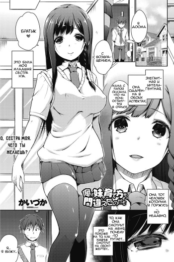 Ore wa Imouto no Sodatekata o Machigaeta Kamo |  Возможно, я ошибся в том, как воспитывал свою младшую сестру cover