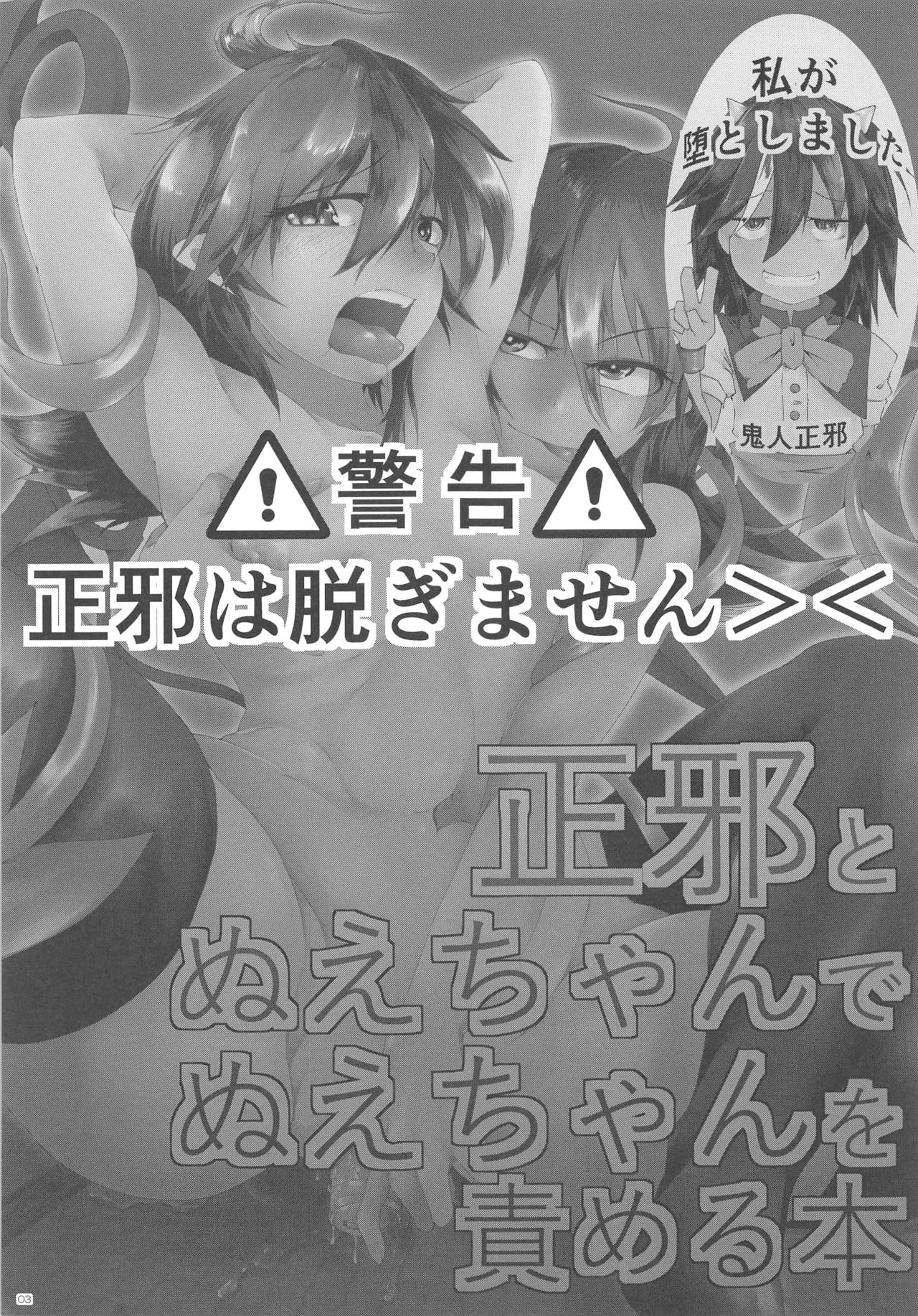 正邪とぬえちゃんでぬえちゃんを責める本 page 2 full